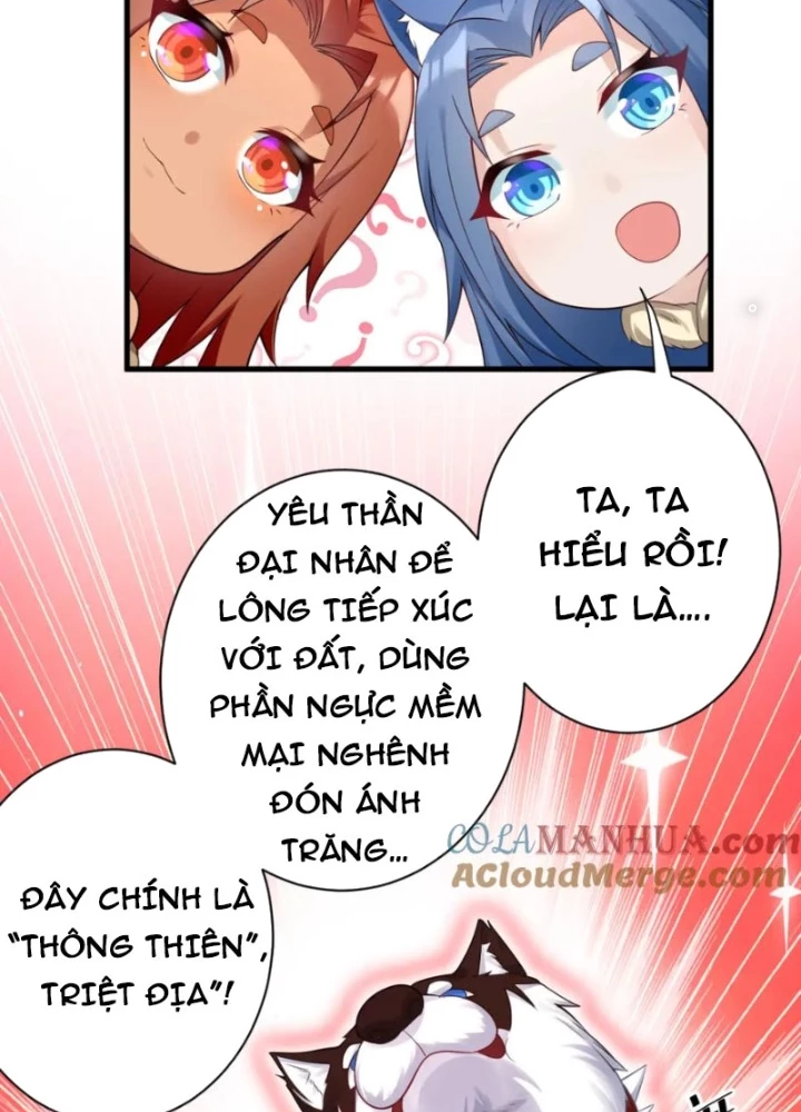 Các Ngươi Tu Tiên Còn Ta Rút Thẻ Chapter 50 - Trang 3