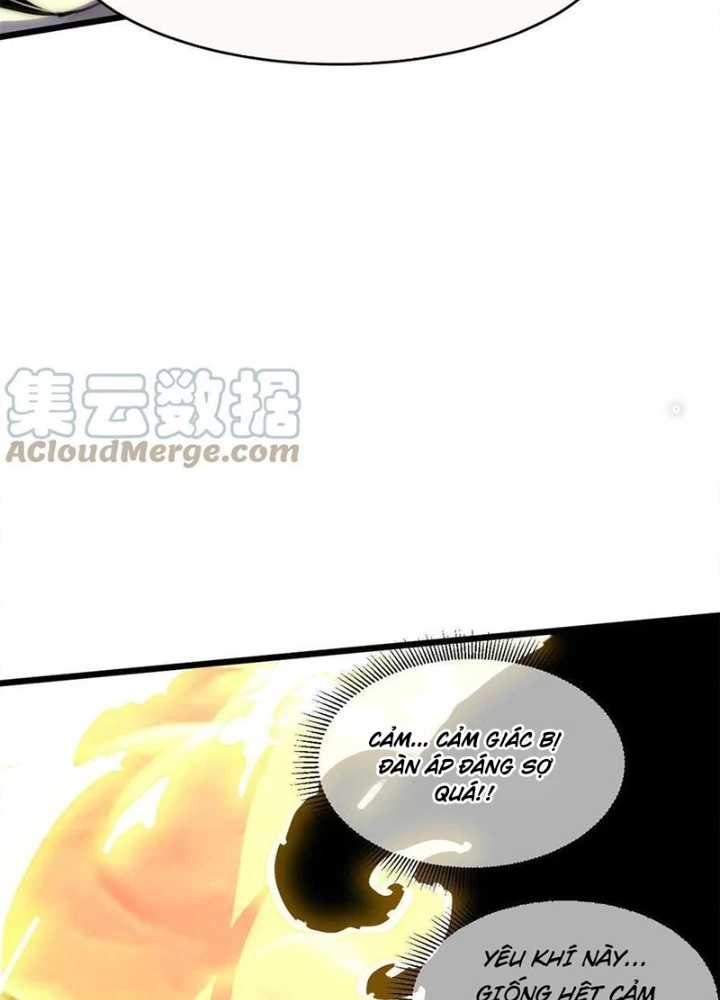 Lui Ra Phía Sau Để Vi Sư Tới Chapter 60 - Trang 4