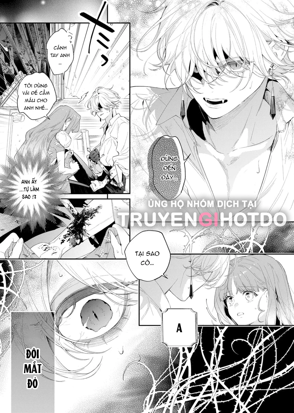 Sao Băng Ẩn Trong Hoa Chapter 4.1 - Trang 2