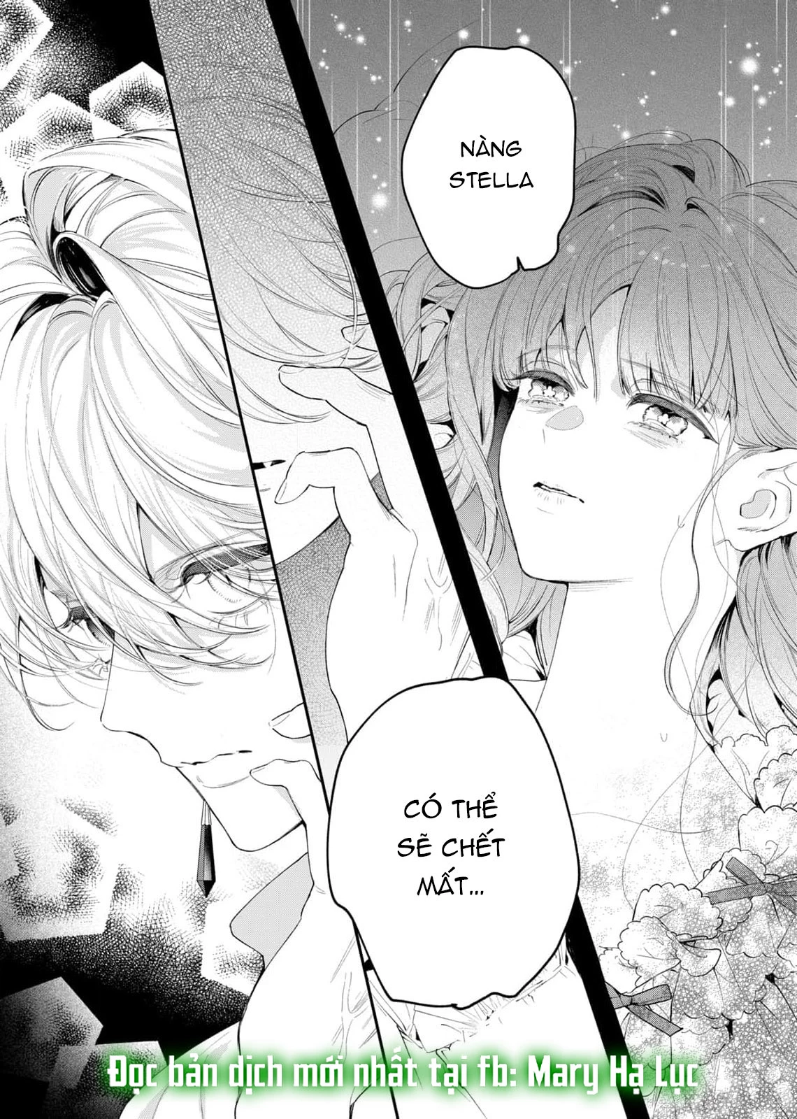Sao Băng Ẩn Trong Hoa Chapter 6.2 - Trang 2