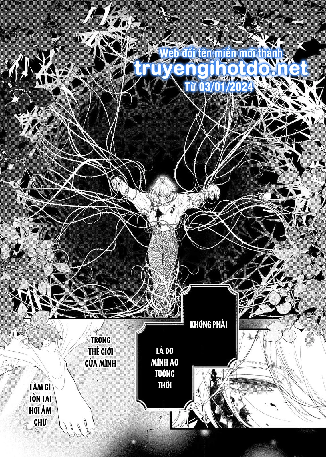 Sao Băng Ẩn Trong Hoa Chapter 8.1 - Trang 2