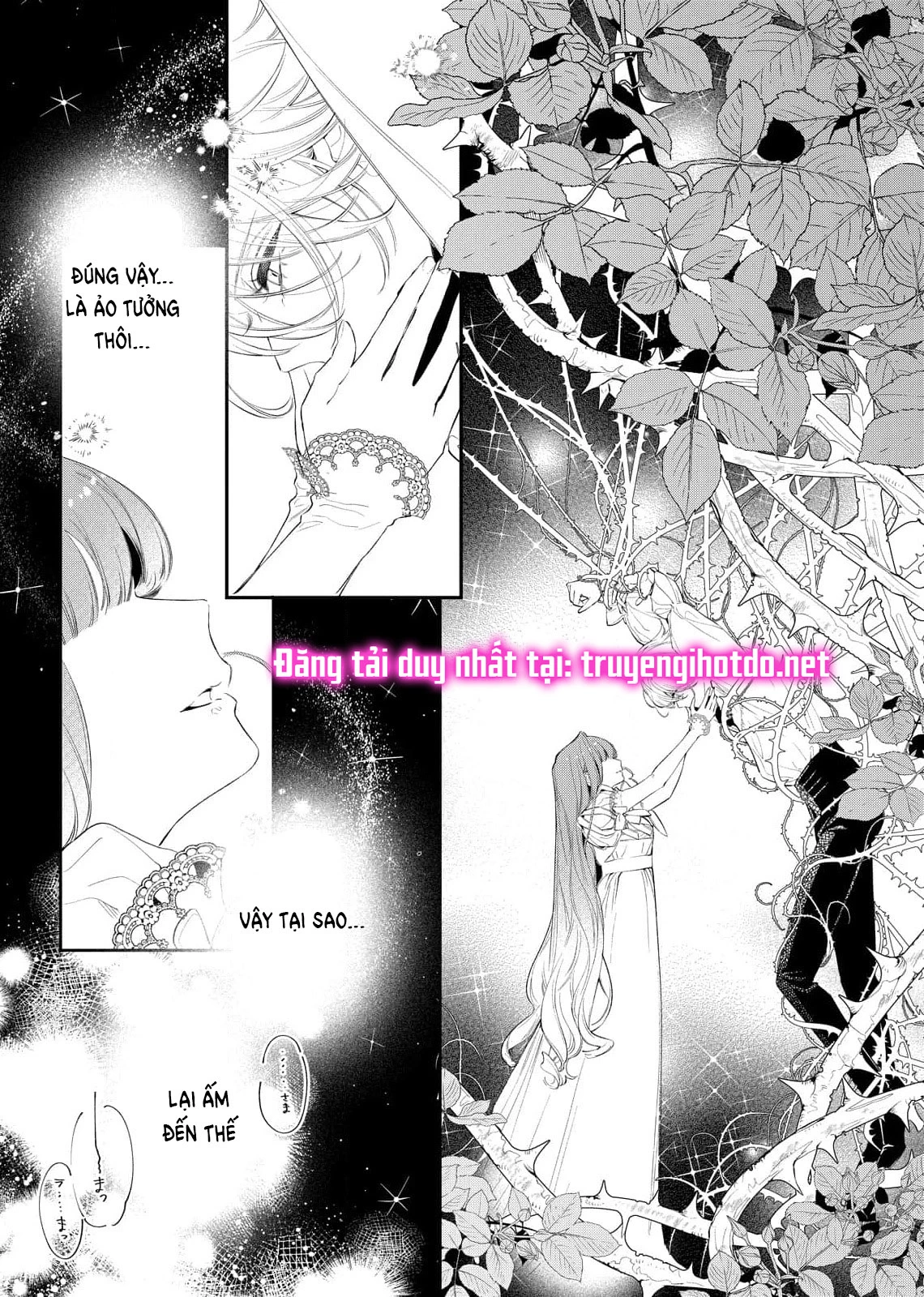 Sao Băng Ẩn Trong Hoa Chapter 8.1 - Trang 2