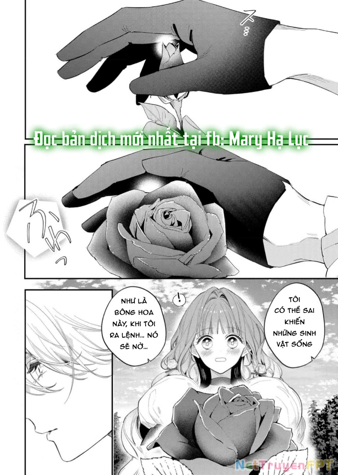 Sao Băng Ẩn Trong Hoa Chapter 13.2 - Trang 2