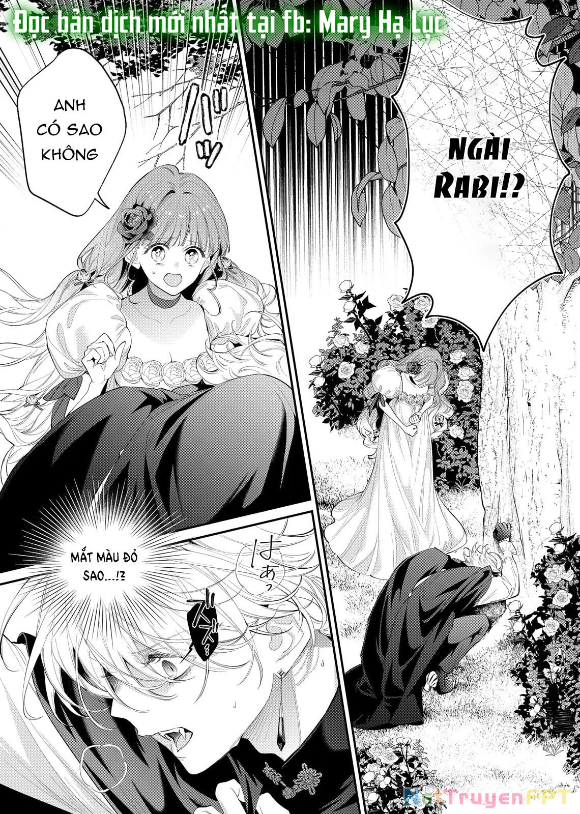 Sao Băng Ẩn Trong Hoa Chapter 14.1 - Trang 2