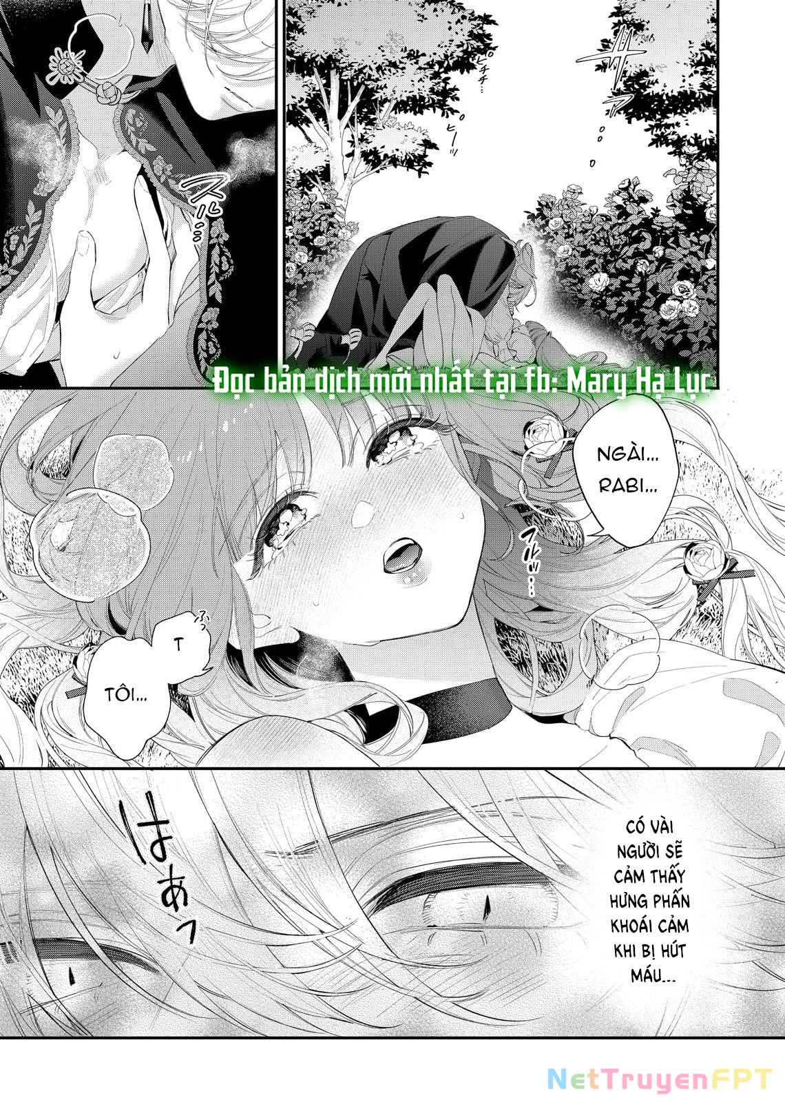 Sao Băng Ẩn Trong Hoa Chapter 14.2 - Trang 2