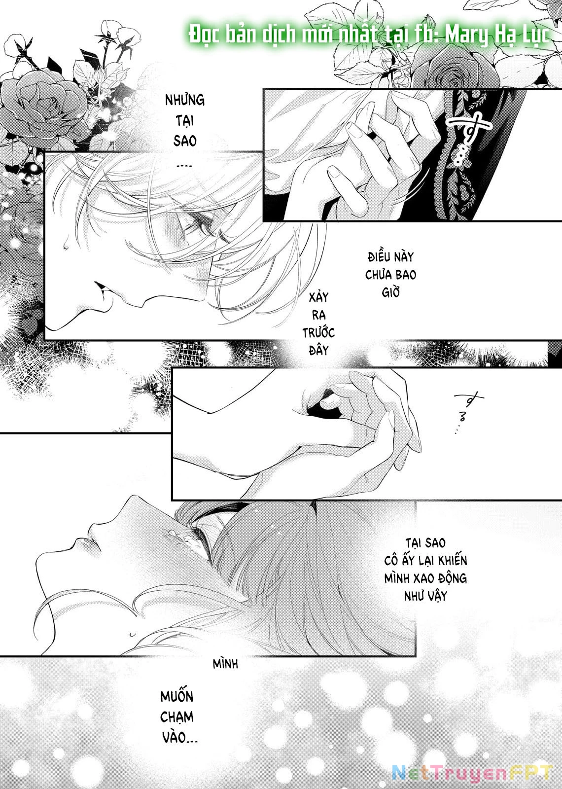 Sao Băng Ẩn Trong Hoa Chapter 14.2 - Trang 2