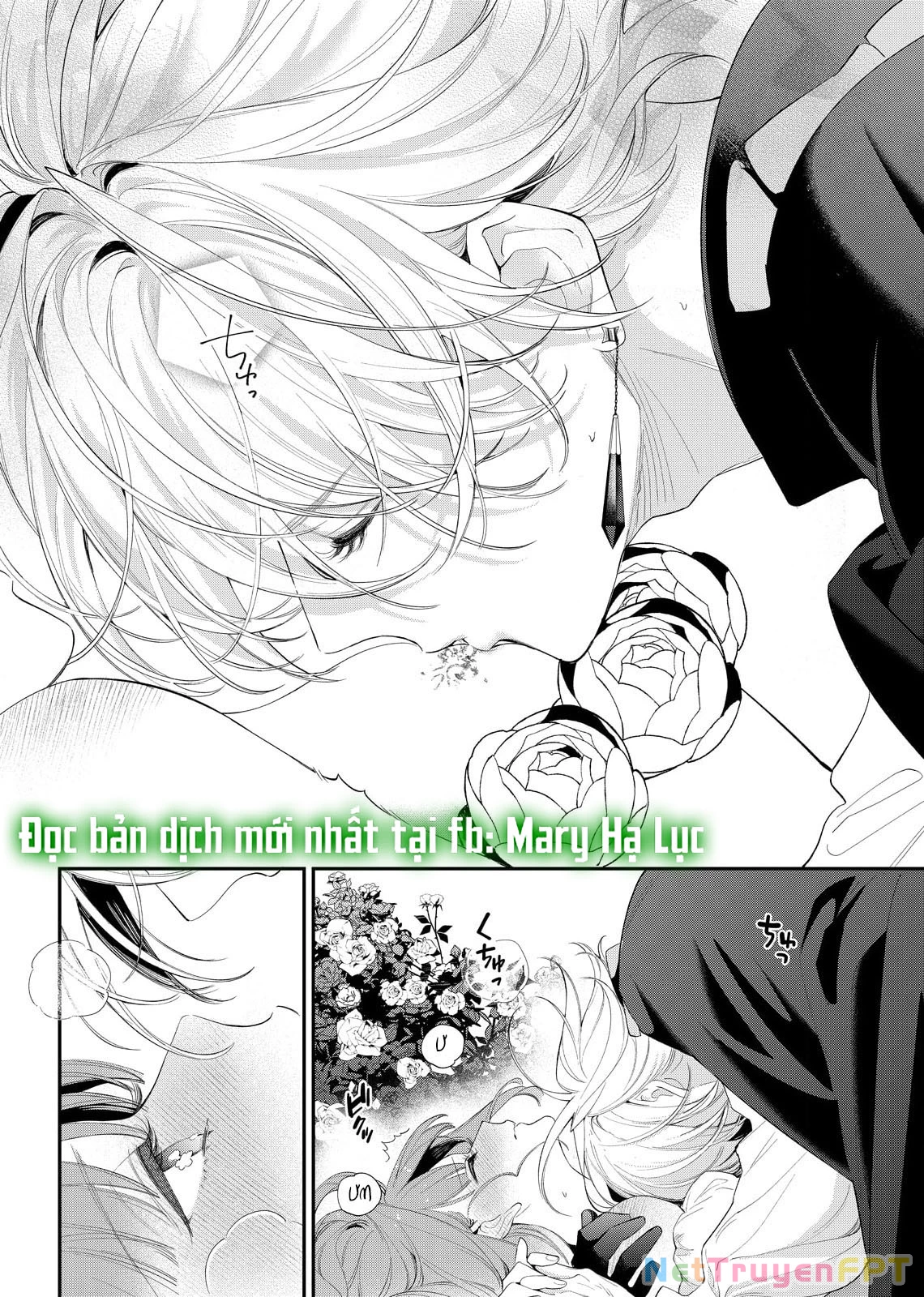 Sao Băng Ẩn Trong Hoa Chapter 14.2 - Trang 2