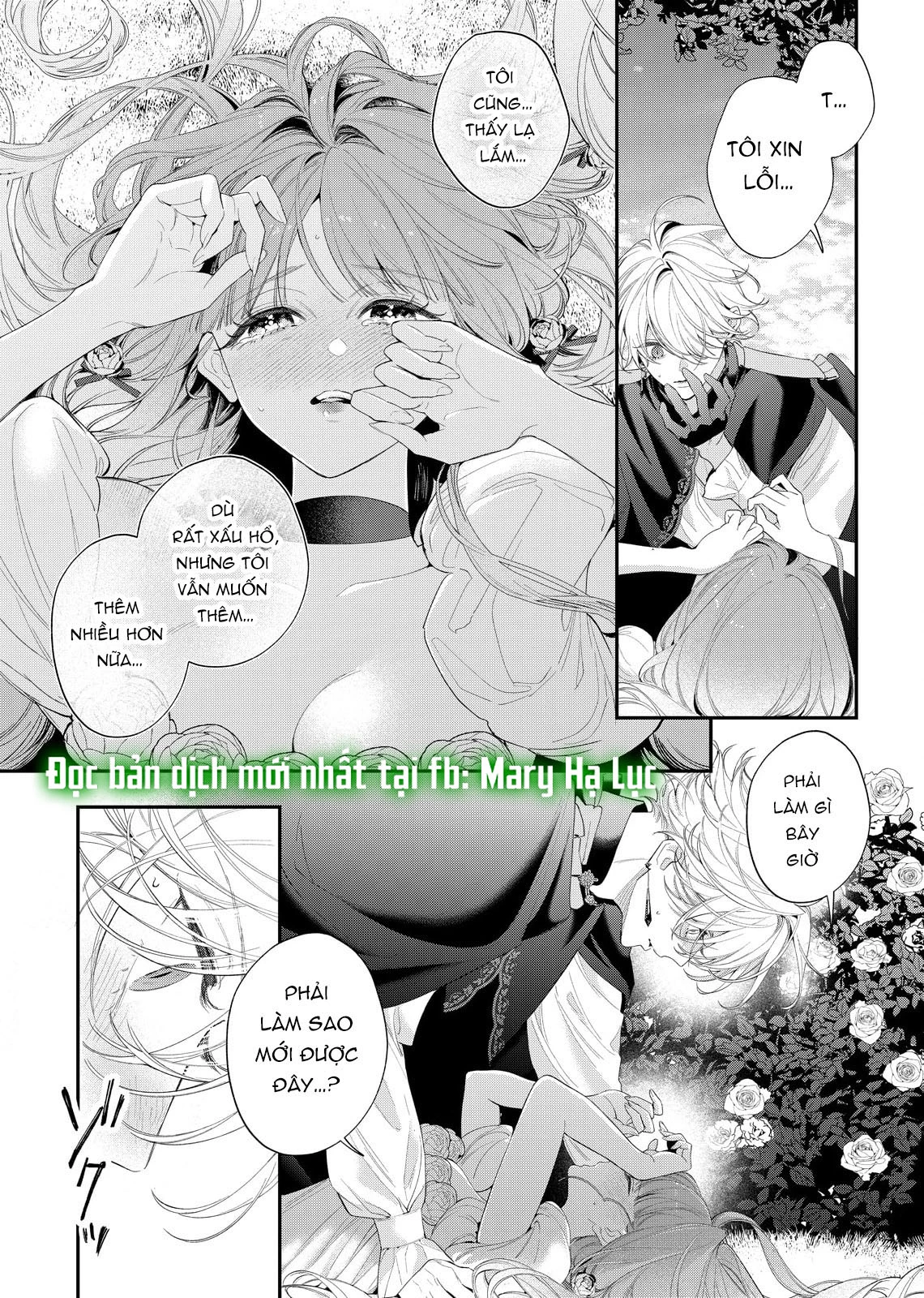 Sao Băng Ẩn Trong Hoa Chapter 15.1 - Trang 2
