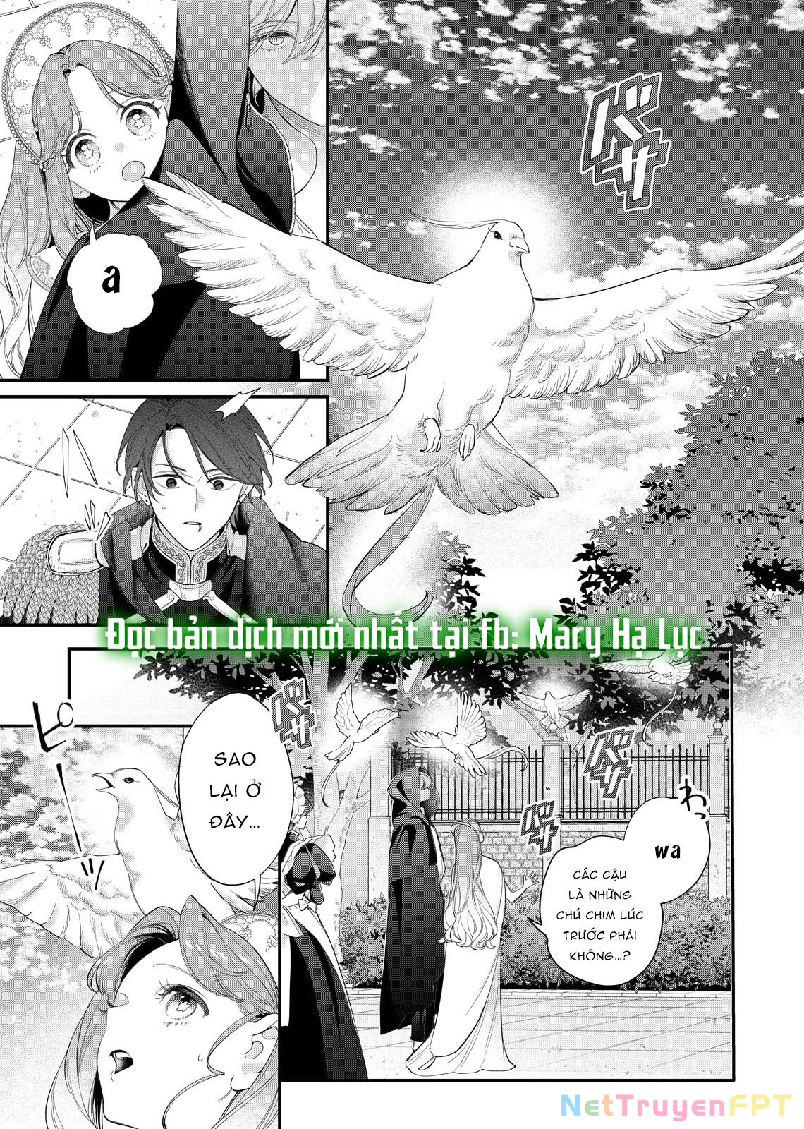 Sao Băng Ẩn Trong Hoa Chapter 18.1 - Trang 2