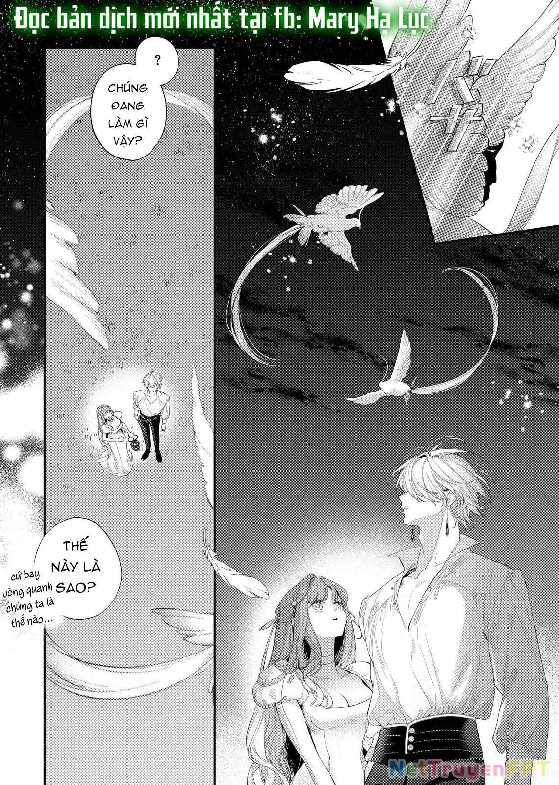 Sao Băng Ẩn Trong Hoa Chapter 20.1 - Trang 2