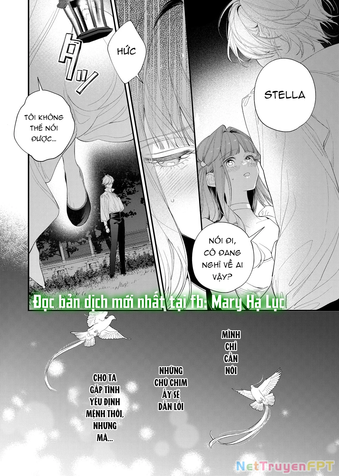 Sao Băng Ẩn Trong Hoa Chapter 20.1 - Trang 2