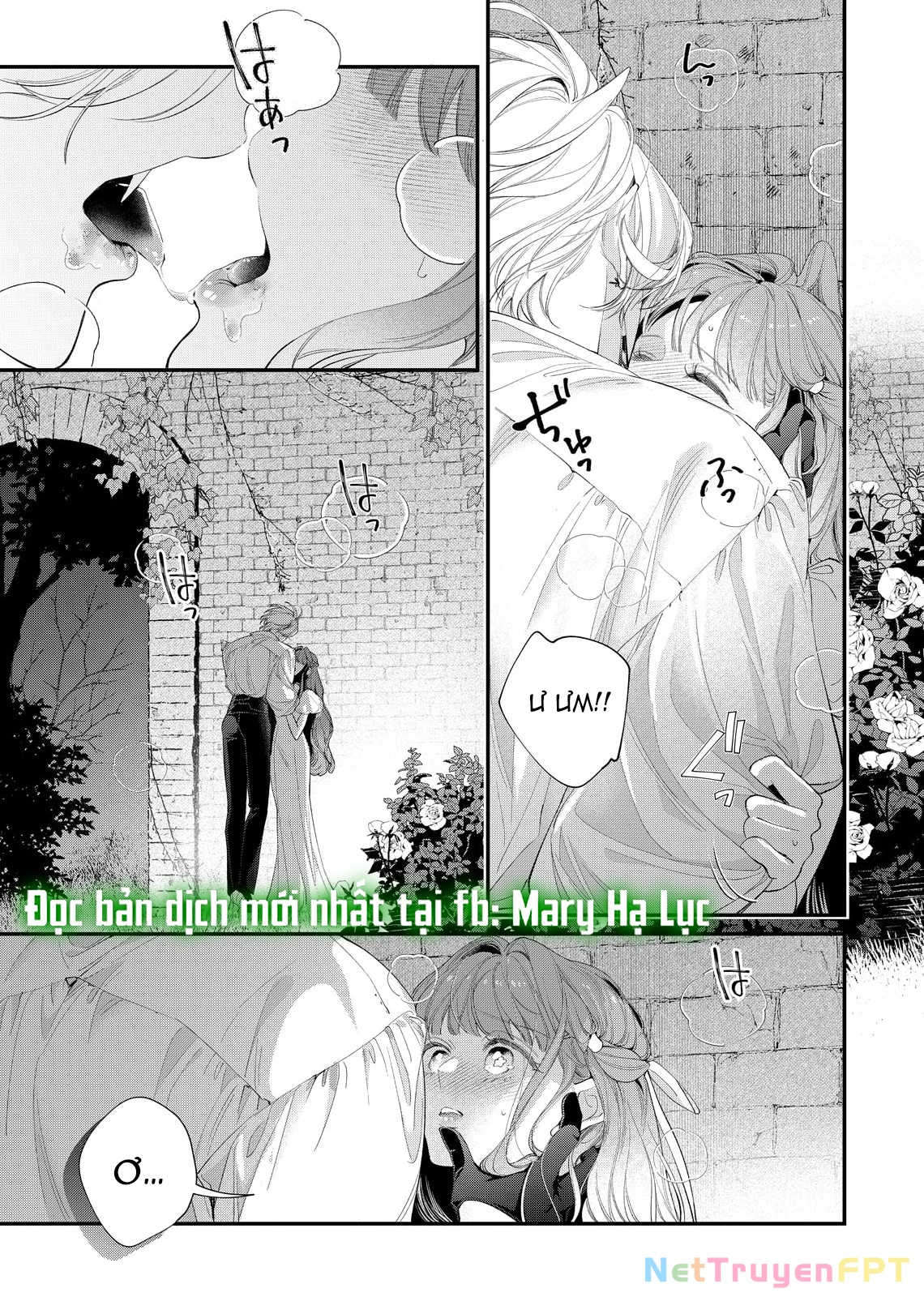 Sao Băng Ẩn Trong Hoa Chapter 20.2 - Trang 2