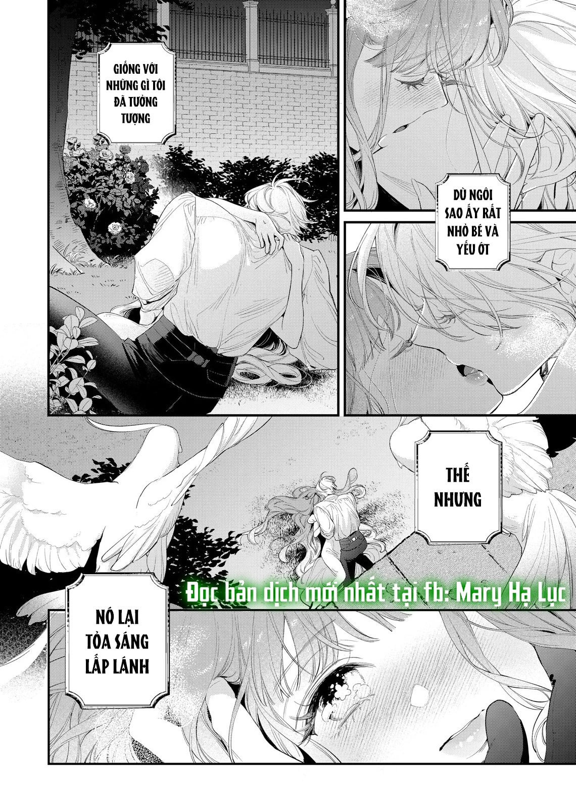 Sao Băng Ẩn Trong Hoa Chapter 20.2 - Trang 2