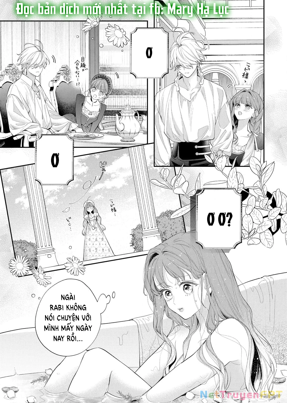Sao Băng Ẩn Trong Hoa Chapter 21.1 - Trang 2