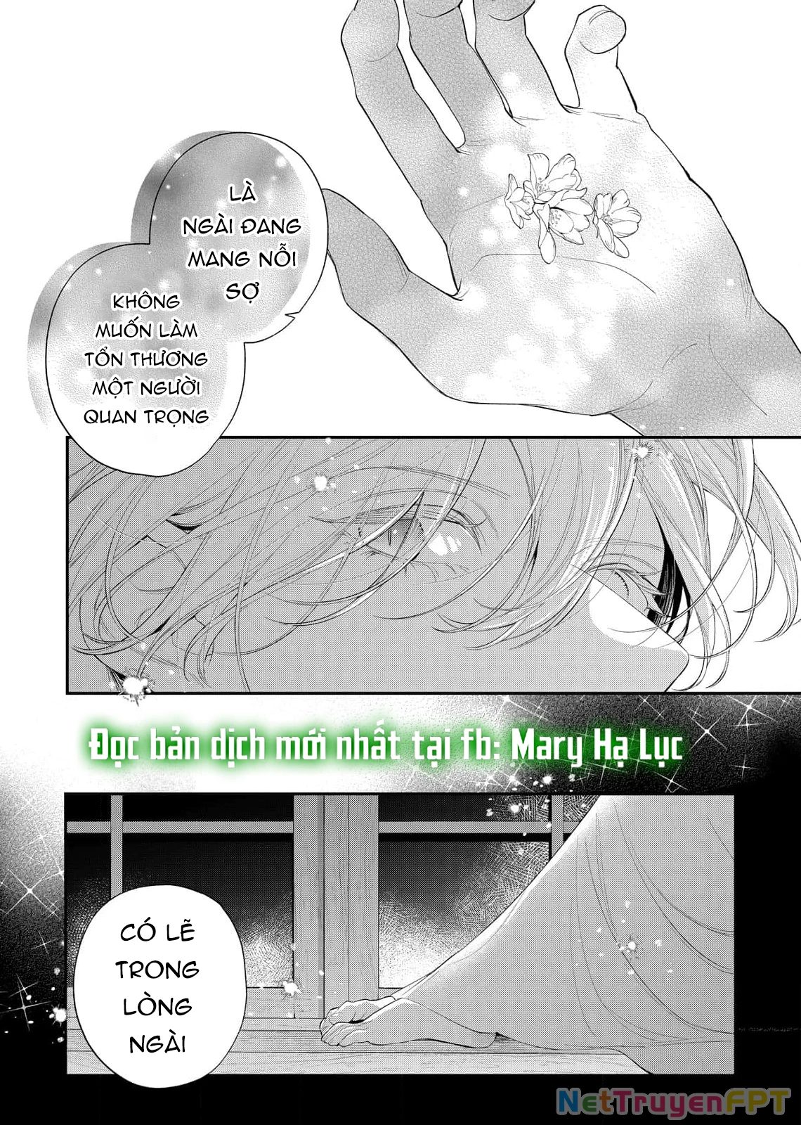 Sao Băng Ẩn Trong Hoa Chapter 21.2 - Trang 2