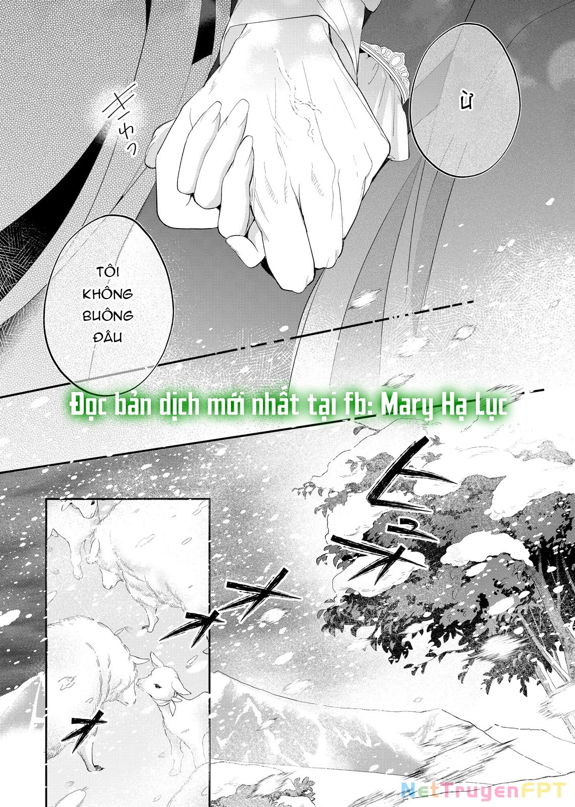 Sao Băng Ẩn Trong Hoa Chapter 22.2 - Trang 2
