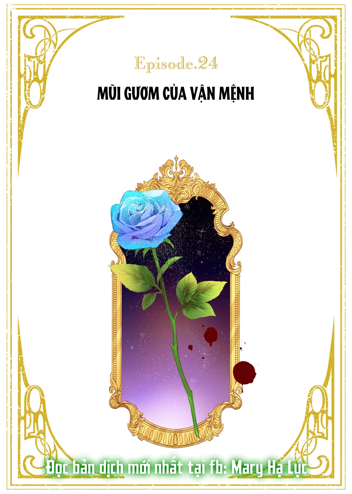 Sao Băng Ẩn Trong Hoa Chapter 24.1 - Trang 2