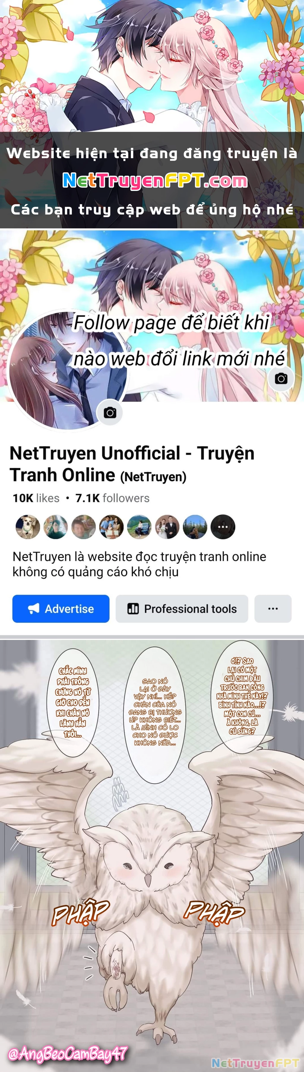 Câu Chuyện Về Bé Cú Mà Tôi Cứu "Hóa Gái" Chapter 1 - Trang 2