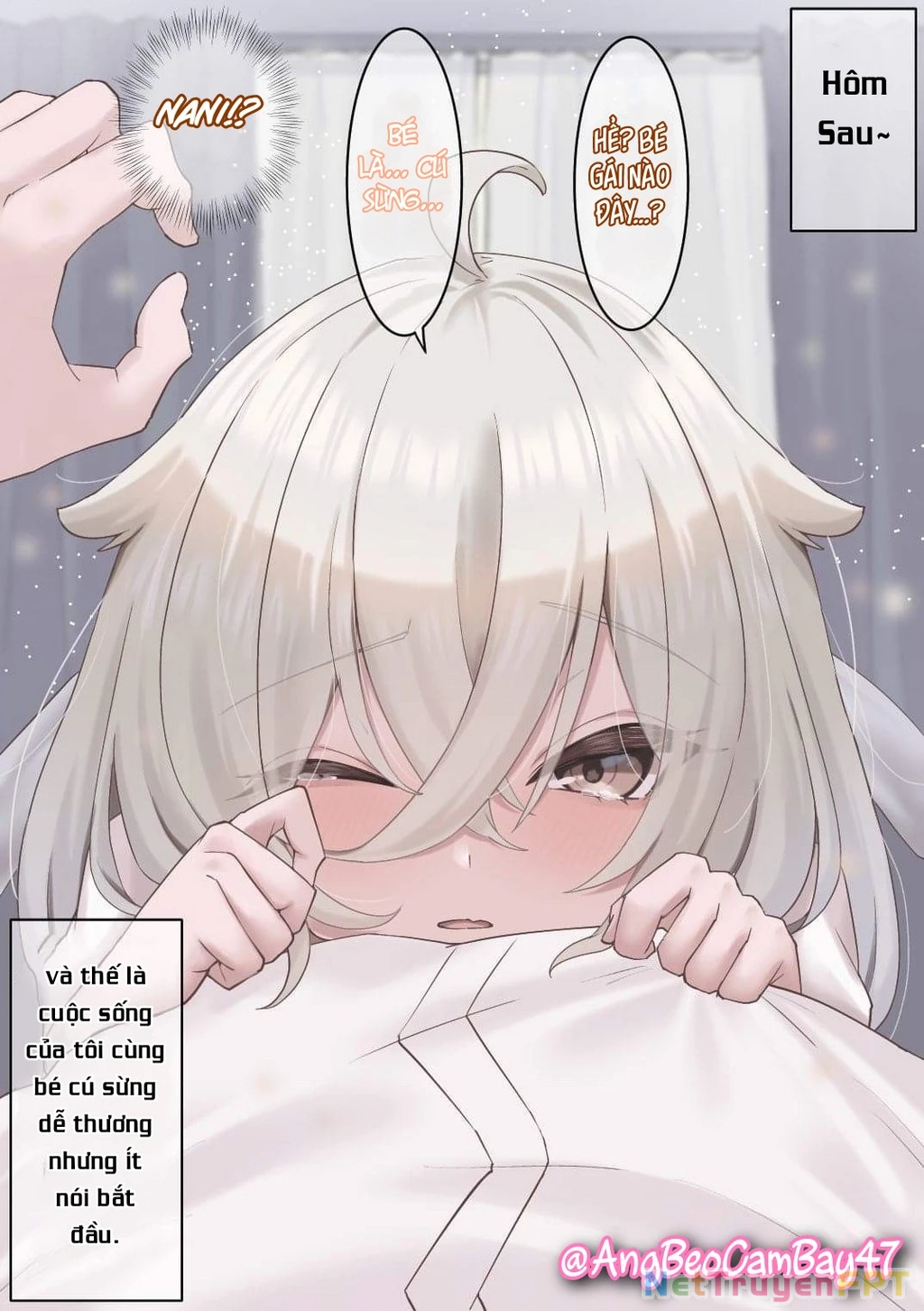 Câu Chuyện Về Bé Cú Mà Tôi Cứu "Hóa Gái" Chapter 1 - Trang 2