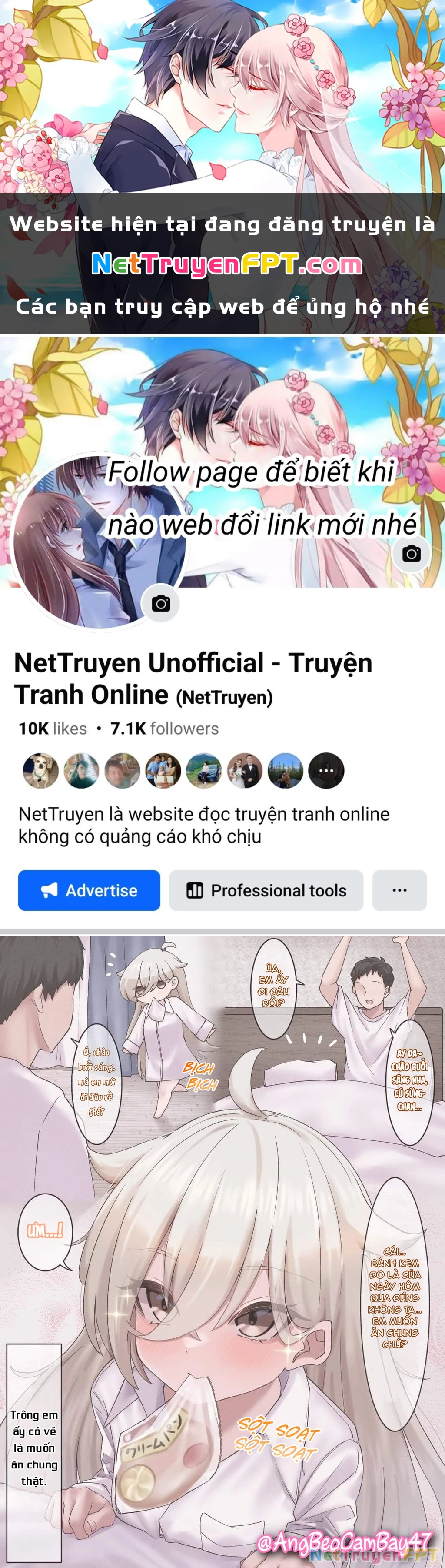 Câu Chuyện Về Bé Cú Mà Tôi Cứu "Hóa Gái" Chapter 2 - Trang 2