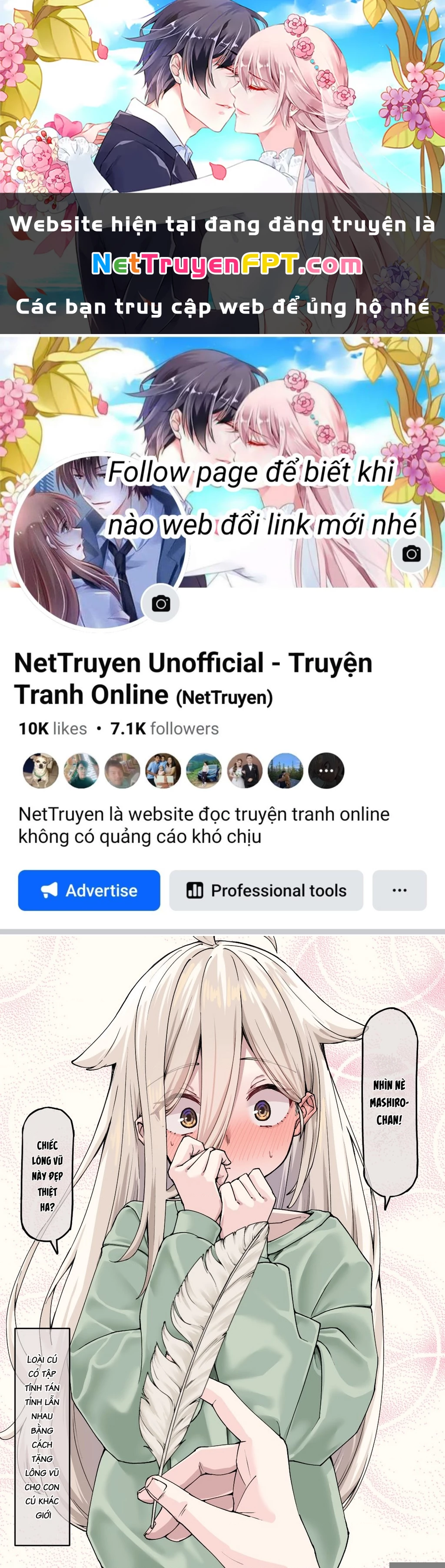 Câu Chuyện Về Bé Cú Mà Tôi Cứu "Hóa Gái" Chapter 25 - Trang 2