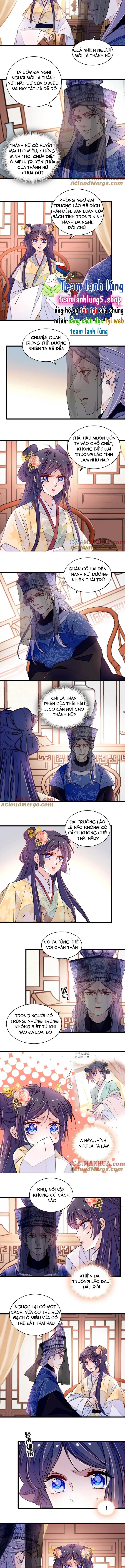 Tự Cẩm Chapter 366 - Next Chapter 367