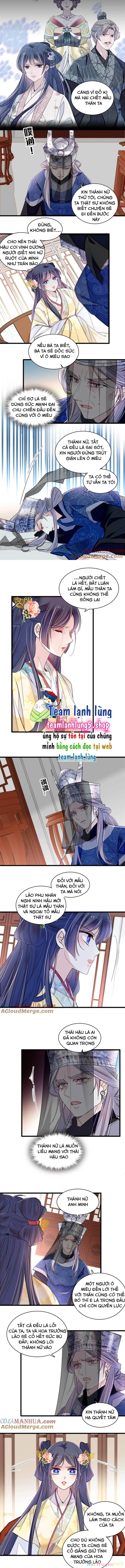 Tự Cẩm Chapter 367 - Trang 4