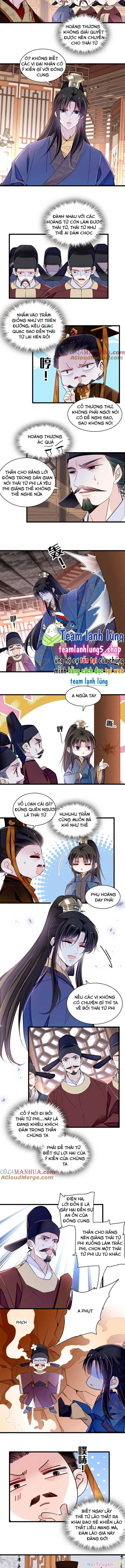 Tự Cẩm Chapter 367 - Trang 4