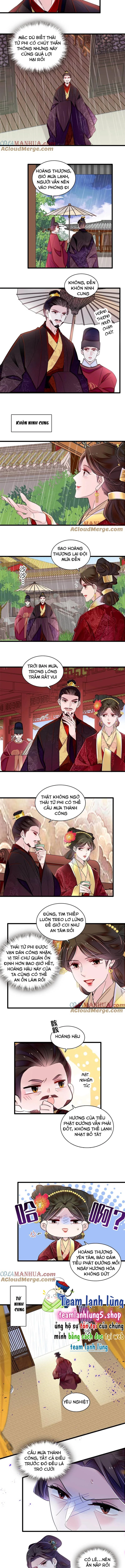 Tự Cẩm Chapter 369 - Trang 4