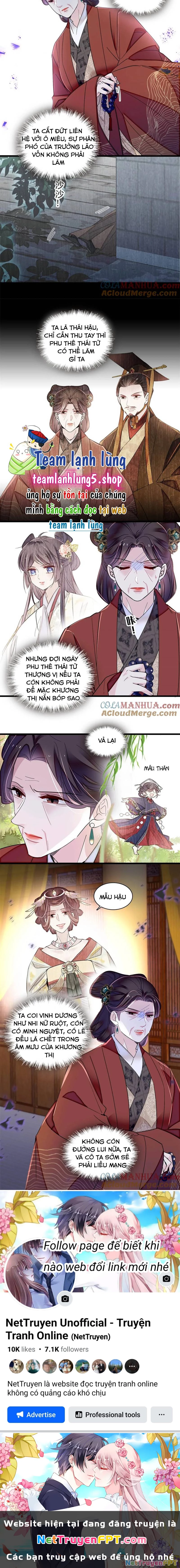 Tự Cẩm Chapter 369 - Trang 4