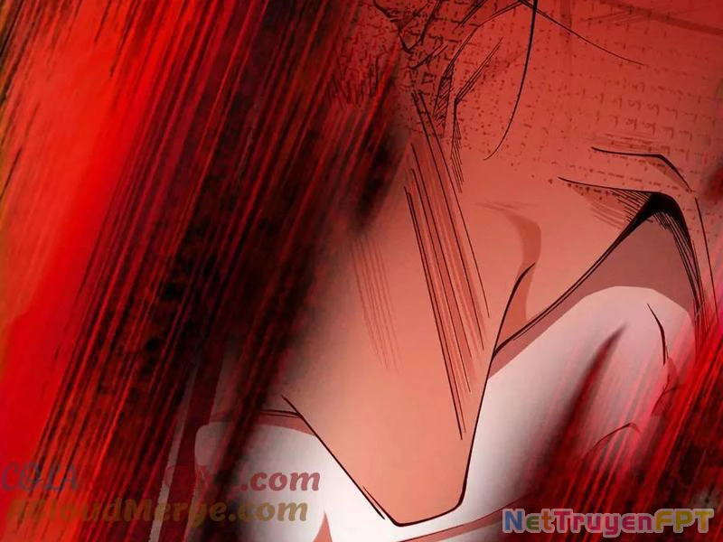 Gặp Mạnh Thì Mạnh, Ta Tu Vi Vô Thượng Hạn Chapter 32 - Trang 2