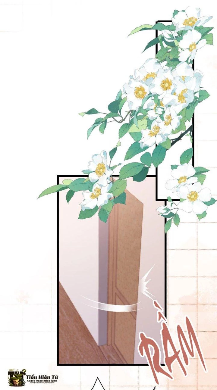 Hệ Thống Siêu Cấp Trà Xanh Chapter 20 - Trang 3