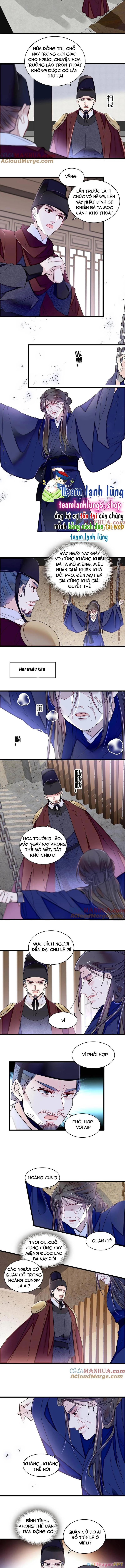 Tự Cẩm Chapter 371 - Trang 4