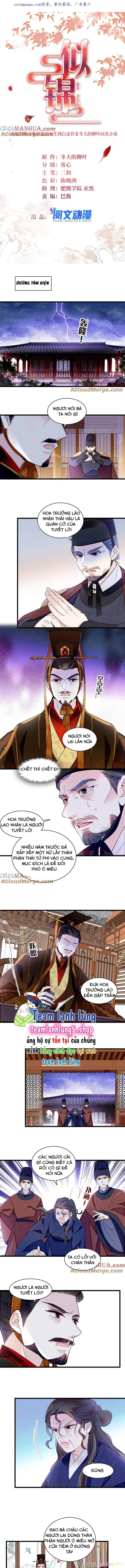 Tự Cẩm Chapter 372 - Trang 4