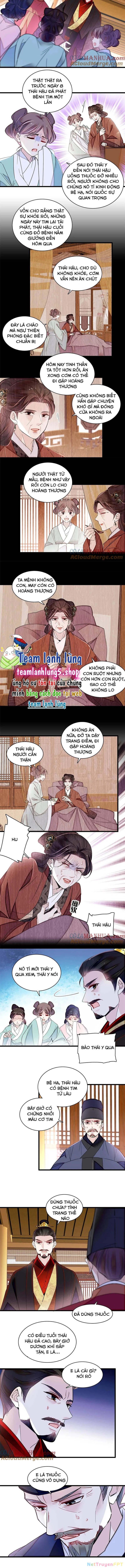 Tự Cẩm Chapter 373 - Trang 4