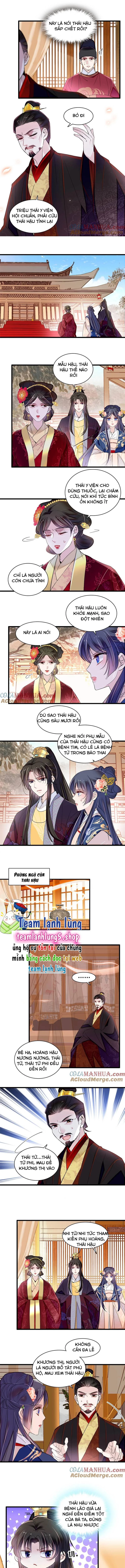 Tự Cẩm Chapter 373 - Trang 4