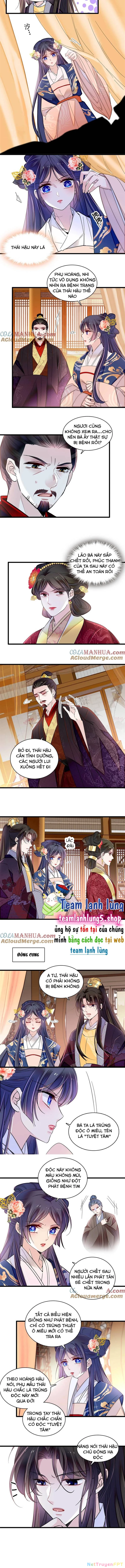 Tự Cẩm Chapter 373 - Trang 4