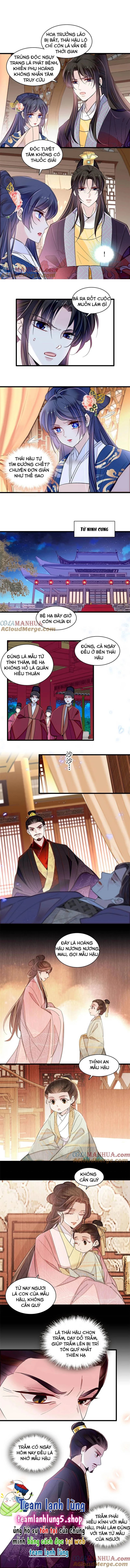 Tự Cẩm Chapter 373 - Trang 4