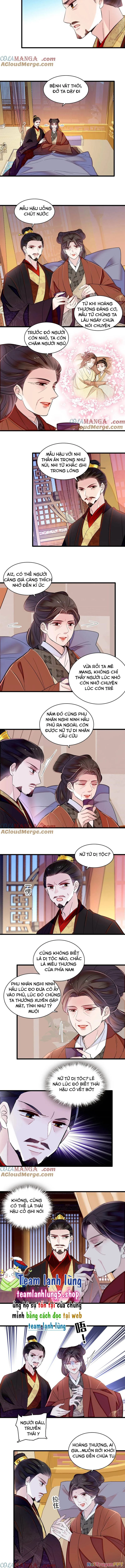 Tự Cẩm Chapter 374 - Trang 4