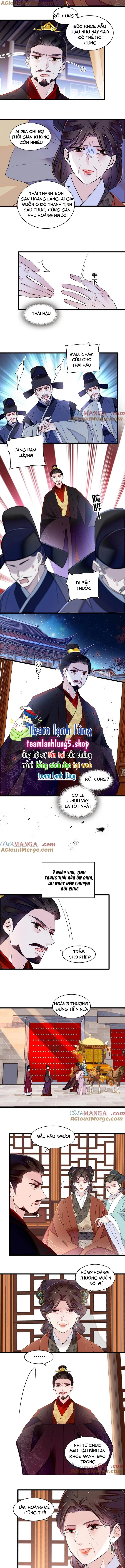 Tự Cẩm Chapter 374 - Trang 4