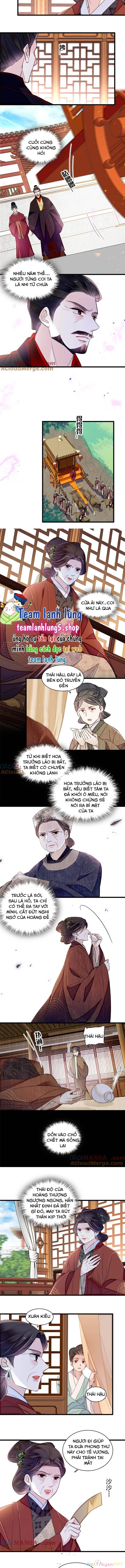 Tự Cẩm Chapter 374 - Trang 4