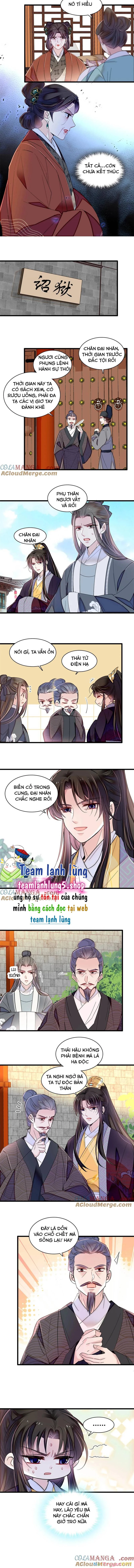 Tự Cẩm Chapter 374 - Trang 4