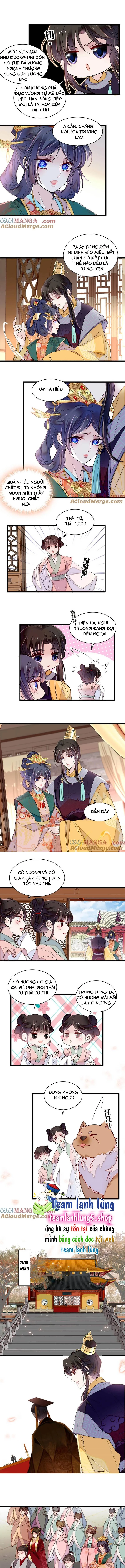 Tự Cẩm Chapter 375 - Trang 4