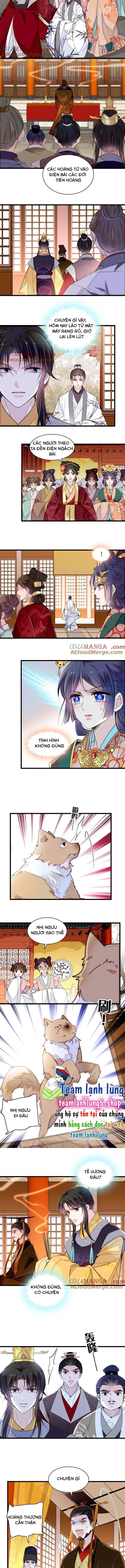 Tự Cẩm Chapter 375 - Trang 4