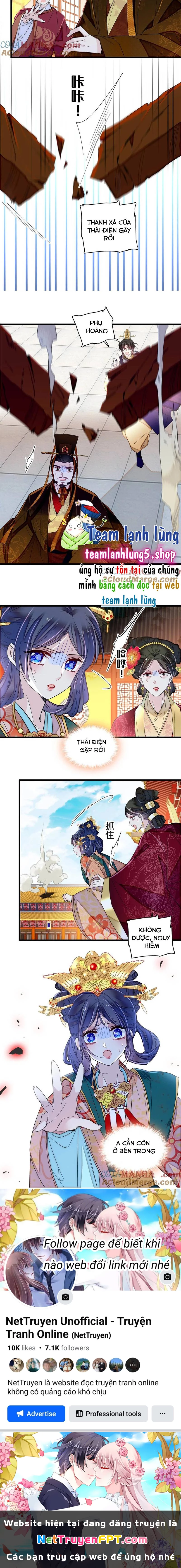 Tự Cẩm Chapter 375 - Trang 4