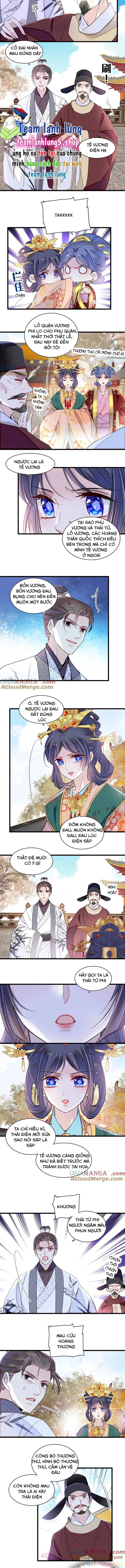 Tự Cẩm Chapter 376 - Trang 4