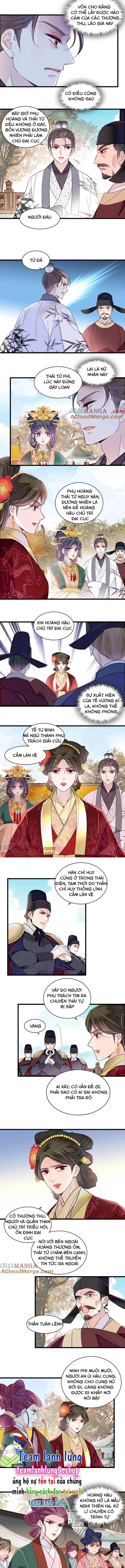 Tự Cẩm Chapter 376 - Trang 4