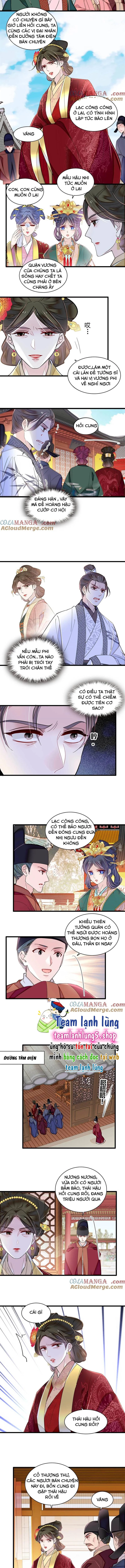 Tự Cẩm Chapter 376 - Trang 4