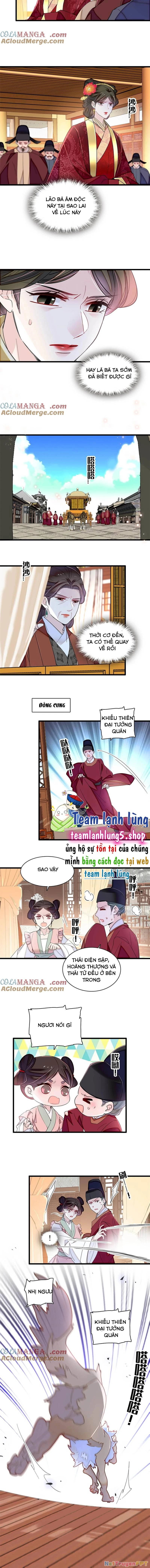 Tự Cẩm Chapter 376 - Trang 4