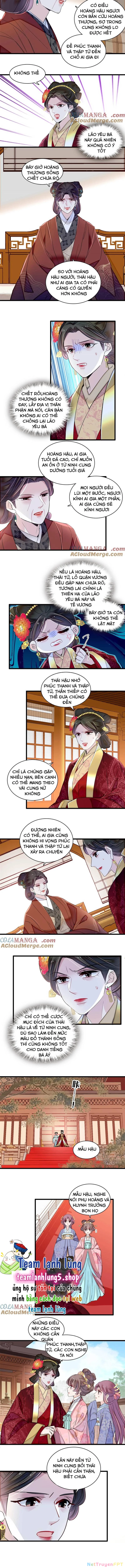 Tự Cẩm Chapter 377 - Next Chapter 378